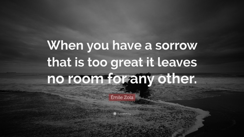 Émile Zola Quote: “When you have a sorrow that is too great it leaves no room for any other.”