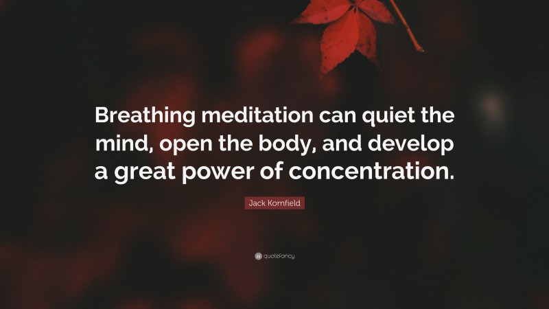 Jack Kornfield Quote: “Breathing meditation can quiet the mind, open the body, and develop a great power of concentration.”