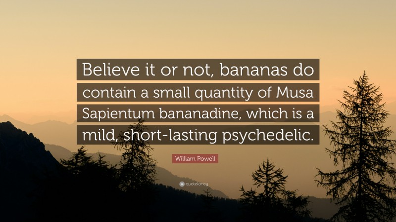 William Powell Quote: “Believe it or not, bananas do contain a small quantity of Musa Sapientum bananadine, which is a mild, short-lasting psychedelic.”