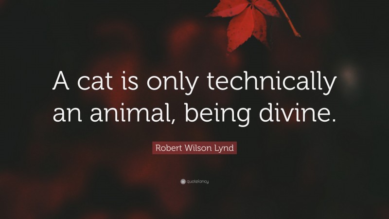 Robert Wilson Lynd Quote: “A cat is only technically an animal, being divine.”