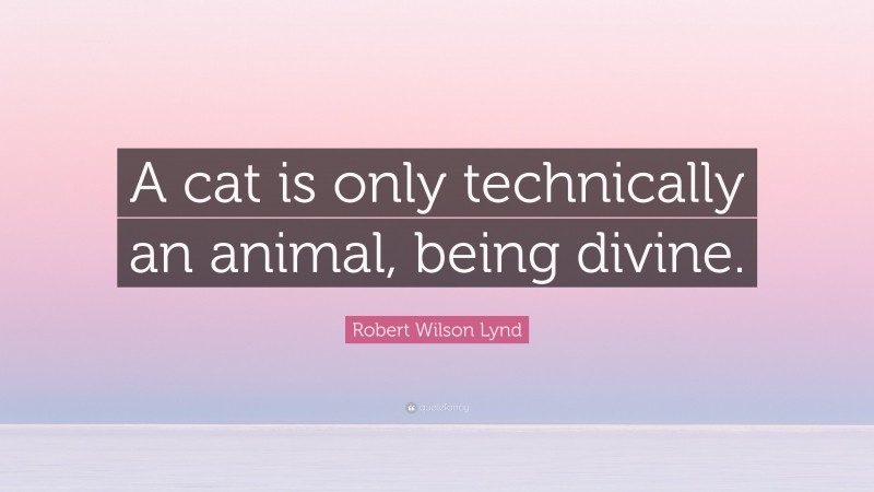 Robert Wilson Lynd Quote: “A cat is only technically an animal, being divine.”