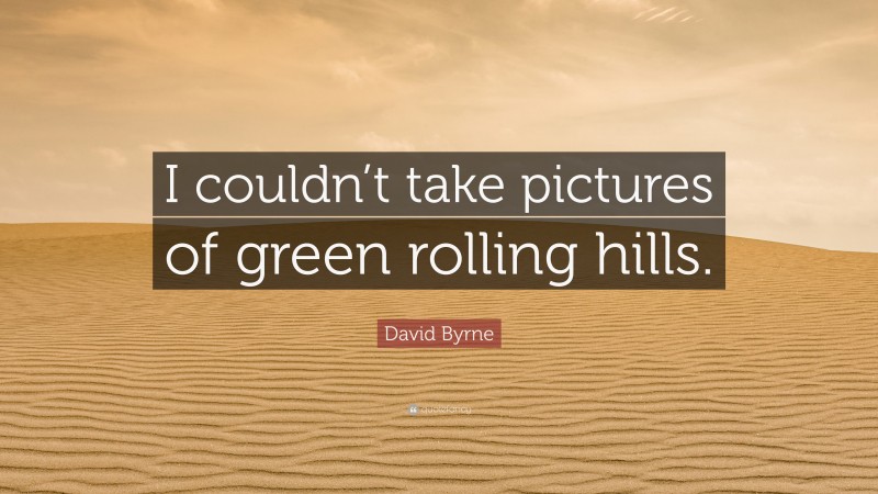 David Byrne Quote: “I couldn’t take pictures of green rolling hills.”