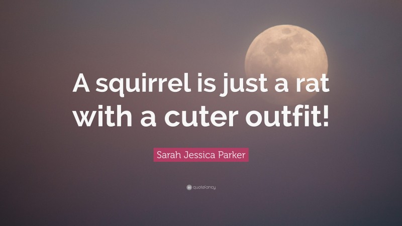 Sarah Jessica Parker Quote: “A squirrel is just a rat with a cuter outfit!”