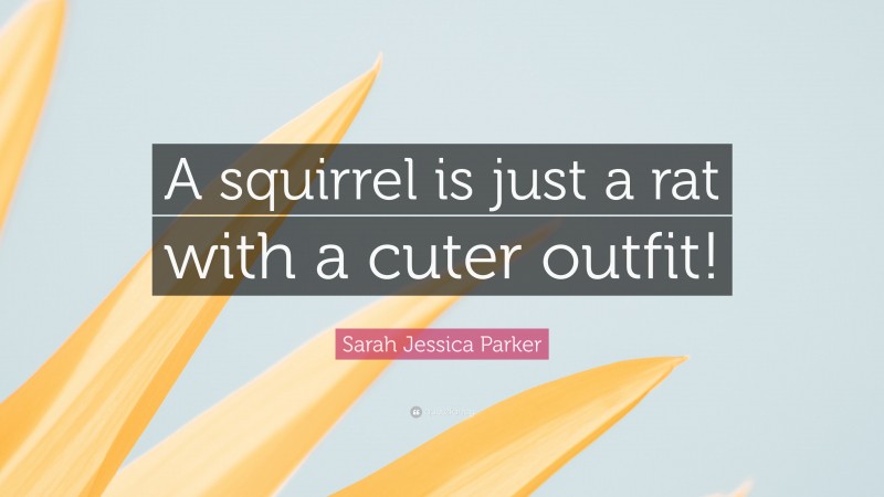 Sarah Jessica Parker Quote: “A squirrel is just a rat with a cuter outfit!”