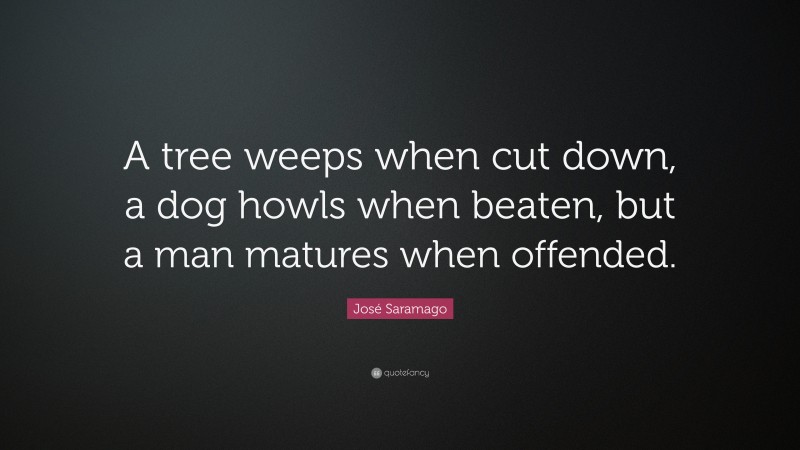 José Saramago Quote: “A tree weeps when cut down, a dog howls when beaten, but a man matures when offended.”