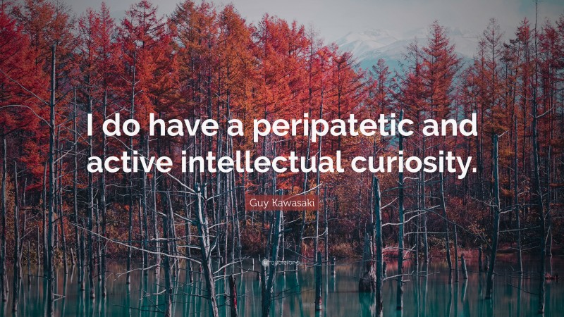 Guy Kawasaki Quote: “I do have a peripatetic and active intellectual curiosity.”