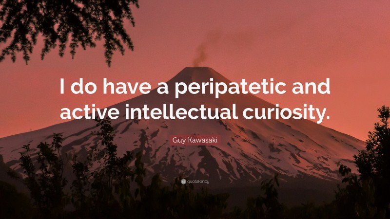 Guy Kawasaki Quote: “I do have a peripatetic and active intellectual curiosity.”