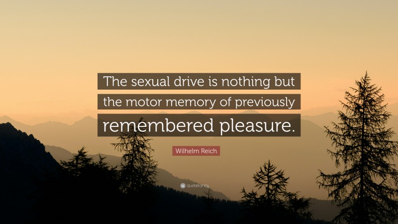 Wilhelm Reich Quote: “The sexual drive is nothing but the motor memory of previously remembered pleasure.”