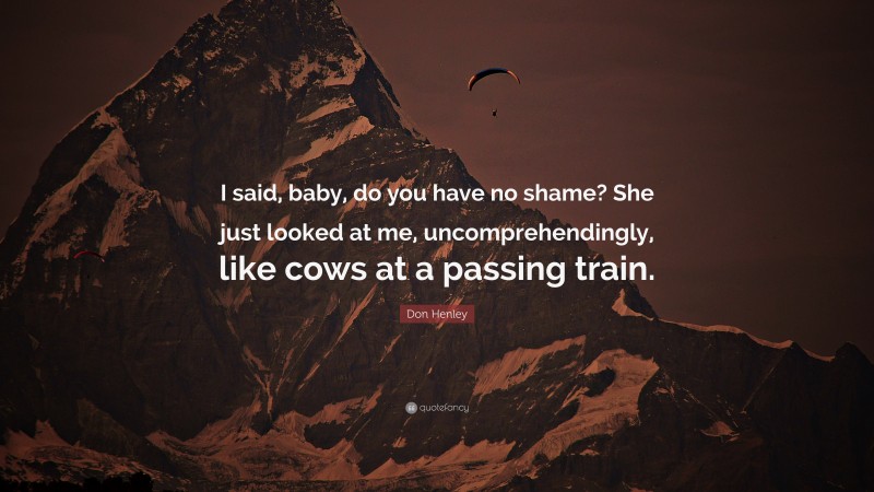 Don Henley Quote: “I said, baby, do you have no shame? She just looked at me, uncomprehendingly, like cows at a passing train.”