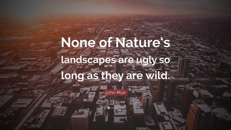 John Muir Quote: “None of Nature’s landscapes are ugly so long as they are wild.”