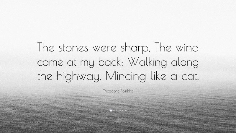 Theodore Roethke Quote: “The stones were sharp, The wind came at my back; Walking along the highway, Mincing like a cat.”