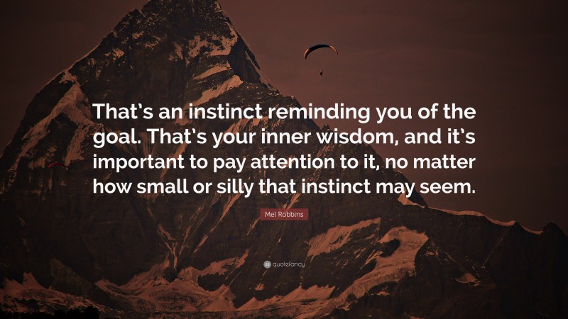 Mel Robbins Quote: “That’s an instinct reminding you of the goal. That’s your inner wisdom, and it’s important to pay attention to it, no matter how small or silly that instinct may seem.”