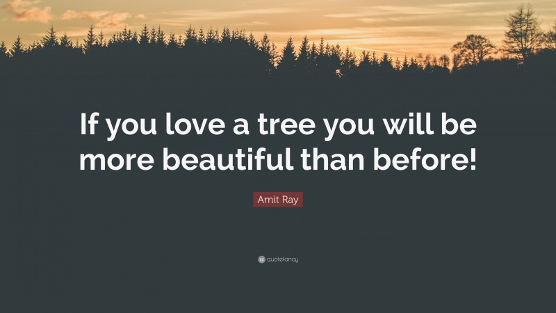 Amit Ray Quote: “If you love a tree you will be more beautiful than before!”