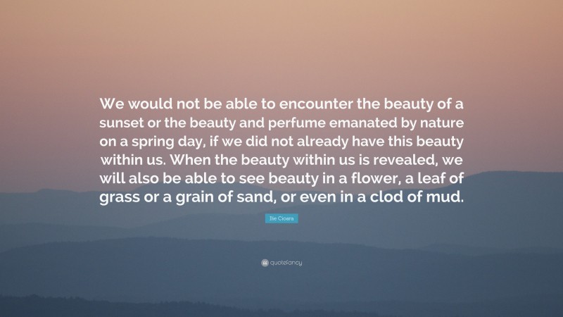 Ilie Cioara Quote: “We would not be able to encounter the beauty of a sunset or the beauty and perfume emanated by nature on a spring day, if we did not already have this beauty within us. When the beauty within us is revealed, we will also be able to see beauty in a flower, a leaf of grass or a grain of sand, or even in a clod of mud.”