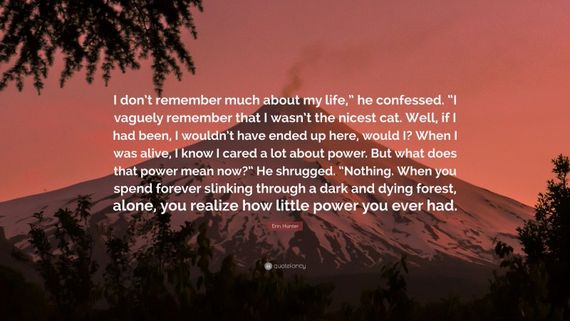 Erin Hunter Quote: “I don’t remember much about my life,” he confessed. “I vaguely remember that I wasn’t the nicest cat. Well, if I had been, I wouldn’t have ended up here, would I? When I was alive, I know I cared a lot about power. But what does that power mean now?” He shrugged. “Nothing. When you spend forever slinking through a dark and dying forest, alone, you realize how little power you ever had.”