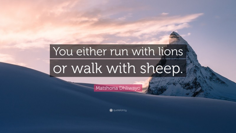 Matshona Dhliwayo Quote: “You either run with lions or walk with sheep.”