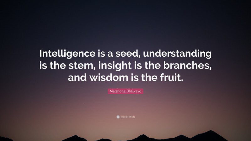 Matshona Dhliwayo Quote: “Intelligence is a seed, understanding is the stem, insight is the branches, and wisdom is the fruit.”