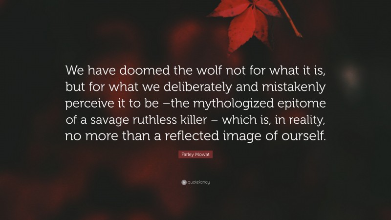 Farley Mowat Quote: “We have doomed the wolf not for what it is, but for what we deliberately and mistakenly perceive it to be –the mythologized epitome of a savage ruthless killer – which is, in reality, no more than a reflected image of ourself.”