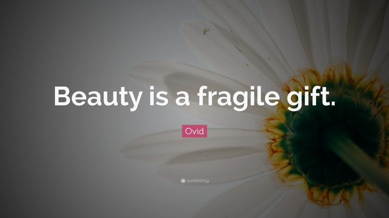Ovid Quote: “Beauty is a fragile gift.”