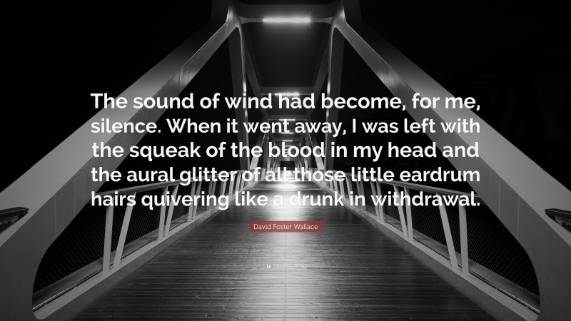 David Foster Wallace Quote: “The sound of wind had become, for me, silence. When it went away, I was left with the squeak of the blood in my head and the aural glitter of all those little eardrum hairs quivering like a drunk in withdrawal.”