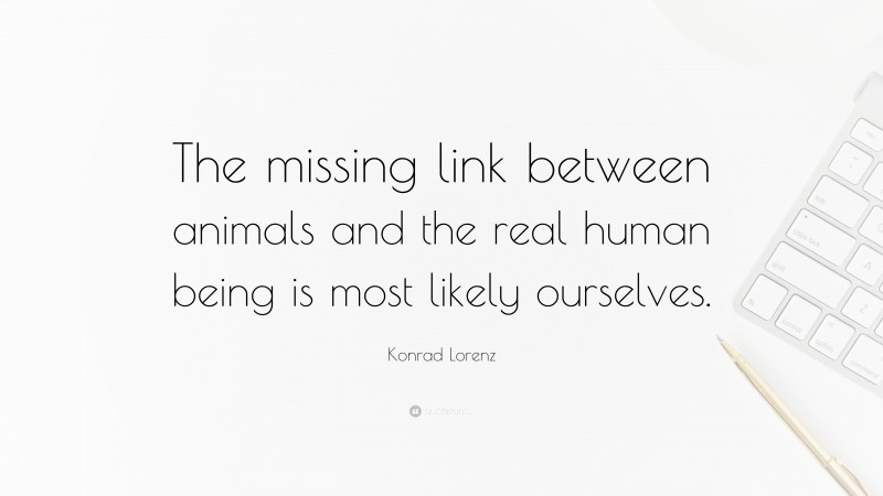 Konrad Lorenz Quote: “The missing link between animals and the real human being is most likely ourselves.”