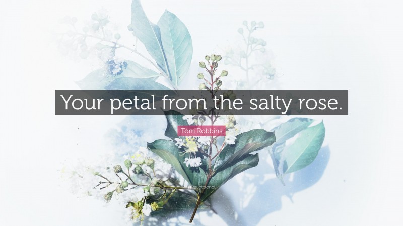 Tom Robbins Quote: “Your petal from the salty rose.”