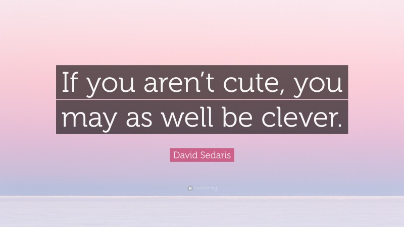 David Sedaris Quote: “If you aren’t cute, you may as well be clever.”