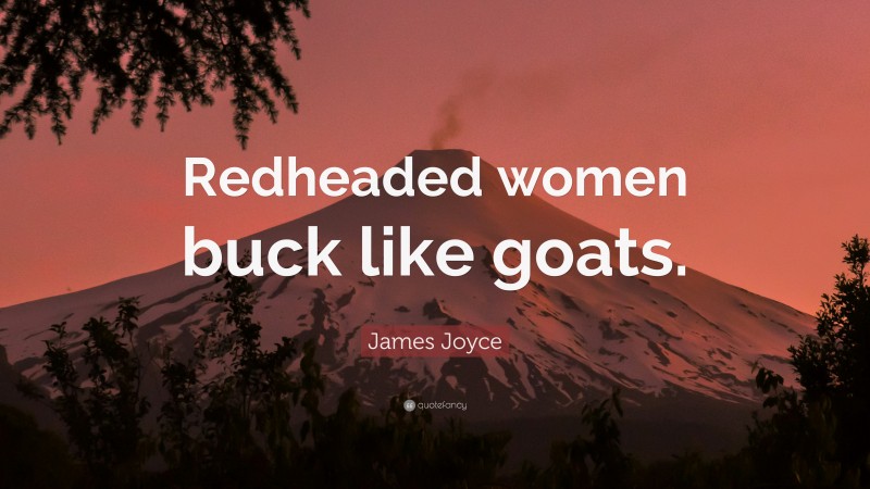 James Joyce Quote: “Redheaded women buck like goats.”