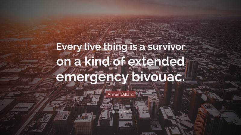 Annie Dillard Quote: “Every live thing is a survivor on a kind of extended emergency bivouac.”