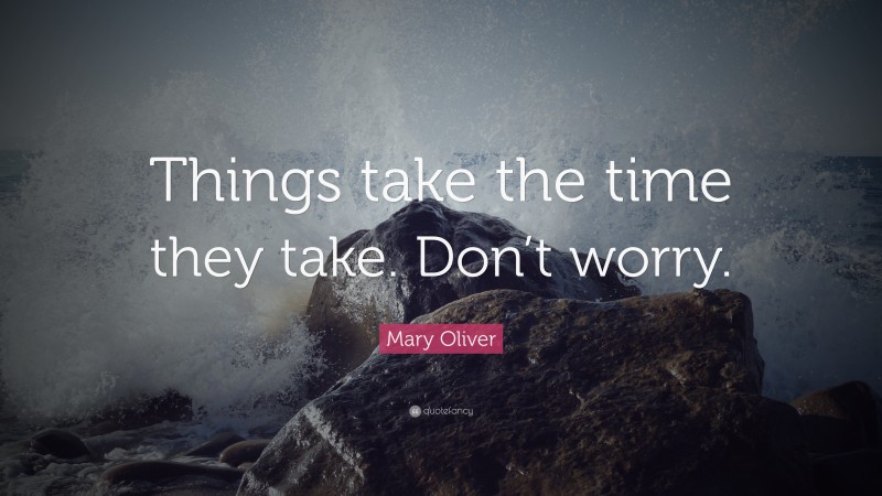 Mary Oliver Quote: “Things take the time they take. Don’t worry.”