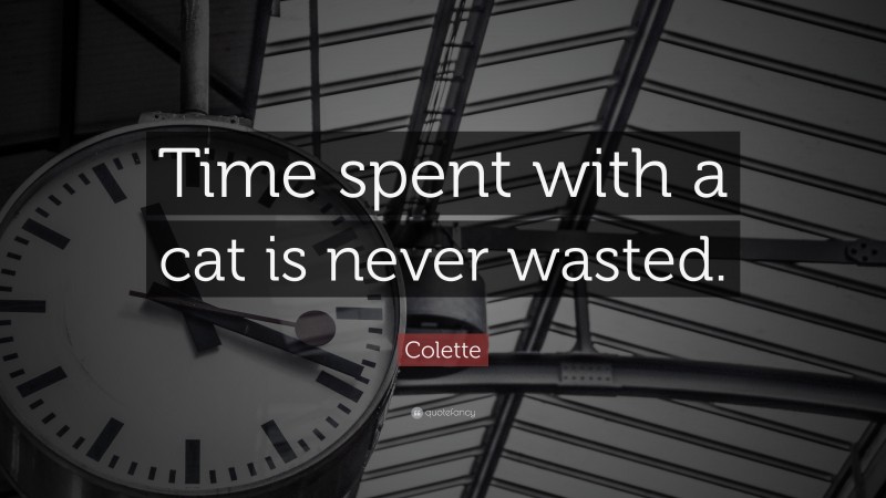 Colette Quote: “Time spent with a cat is never wasted.”