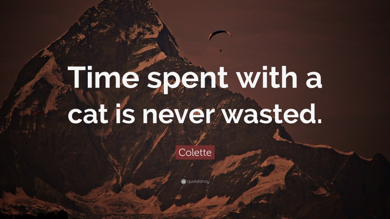 Colette Quote: “Time spent with a cat is never wasted.”
