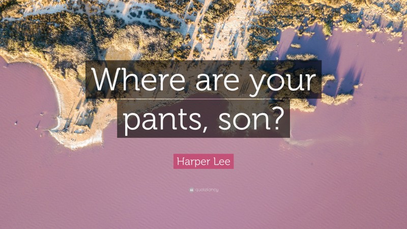 Harper Lee Quote: “Where are your pants, son?”