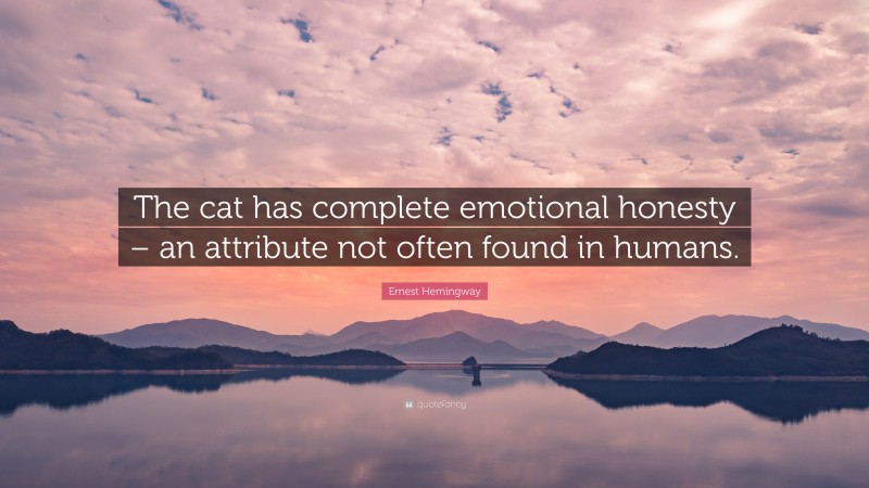 Ernest Hemingway Quote: “The cat has complete emotional honesty – an attribute not often found in humans.”