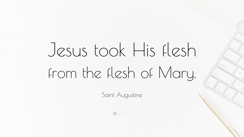 Saint Augustine Quote: “Jesus took His flesh from the flesh of Mary.”
