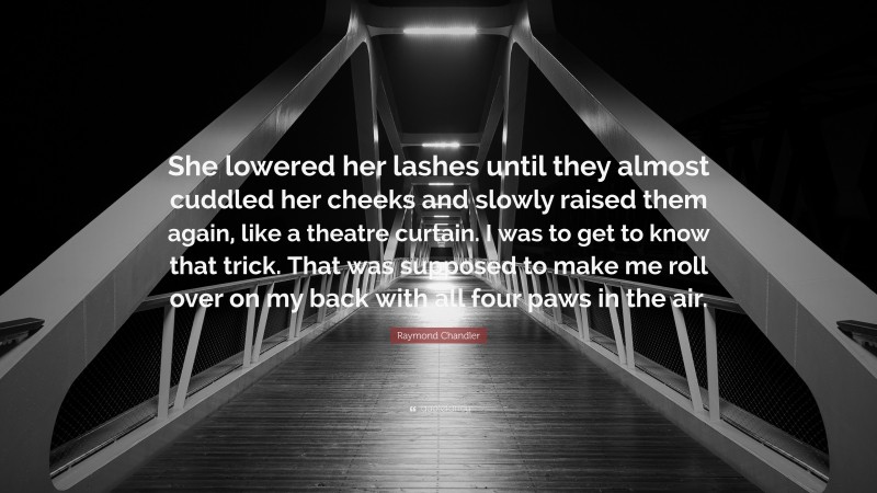 Raymond Chandler Quote: “She lowered her lashes until they almost cuddled her cheeks and slowly raised them again, like a theatre curtain. I was to get to know that trick. That was supposed to make me roll over on my back with all four paws in the air.”