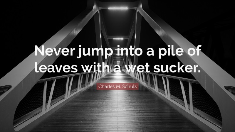 Charles M. Schulz Quote: “Never jump into a pile of leaves with a wet sucker.”