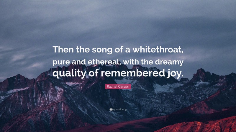 Rachel Carson Quote: “Then the song of a whitethroat, pure and ethereal, with the dreamy quality of remembered joy.”