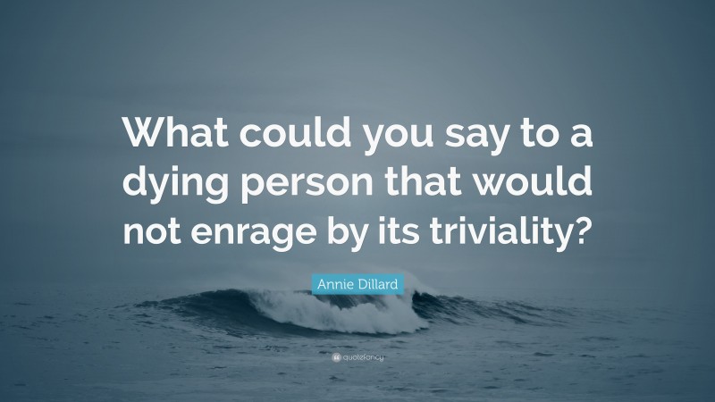 Annie Dillard Quote: “What could you say to a dying person that would not enrage by its triviality?”