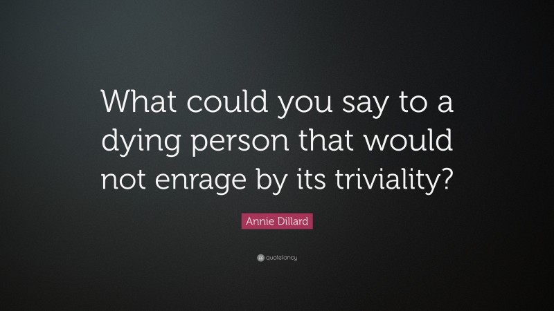 Annie Dillard Quote: “What could you say to a dying person that would not enrage by its triviality?”