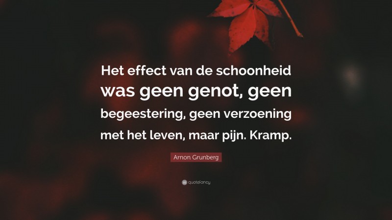 Arnon Grunberg Quote: “Het effect van de schoonheid was geen genot, geen begeestering, geen verzoening met het leven, maar pijn. Kramp.”