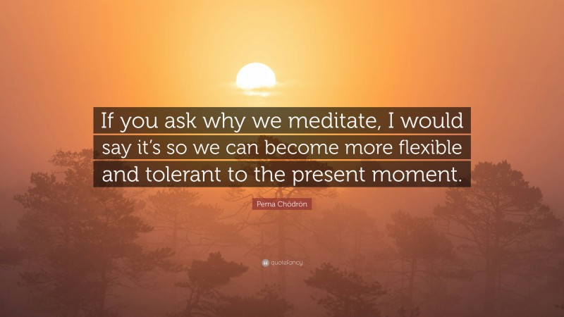Pema Chödrön Quote: “If you ask why we meditate, I would say it’s so we can become more flexible and tolerant to the present moment.”