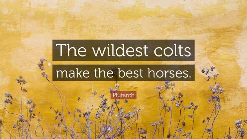 Plutarch Quote: “The wildest colts make the best horses.”