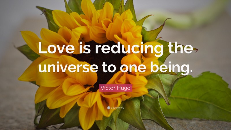 Victor Hugo Quote: “Love is reducing the universe to one being.”