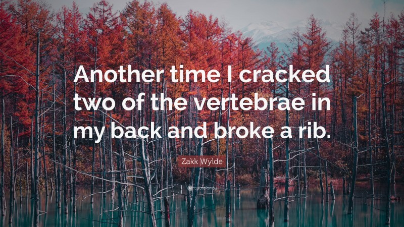 Zakk Wylde Quote: “Another time I cracked two of the vertebrae in my back and broke a rib.”