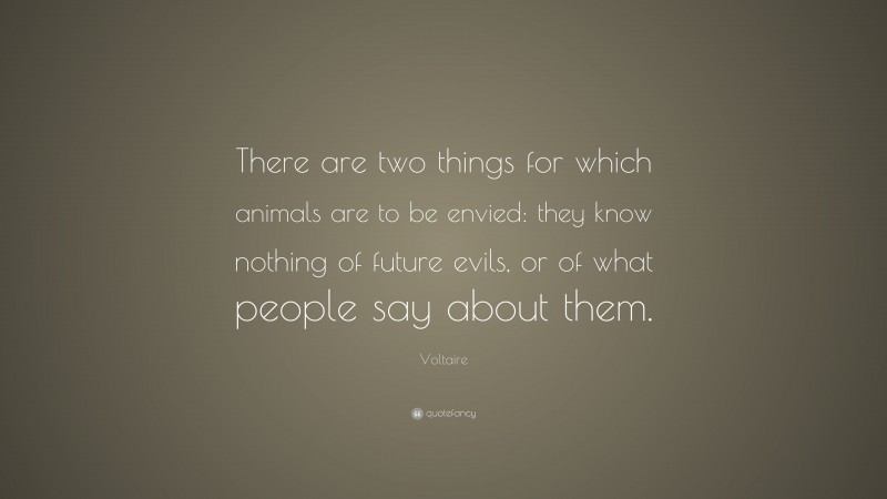 Voltaire Quote: “There are two things for which animals are to be envied: they know nothing of future evils, or of what people say about them.”