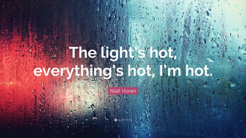Niall Horan Quote: “The light’s hot, everything’s hot, I’m hot.”