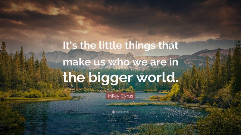 Miley Cyrus Quote: “It’s the little things that make us who we are in the bigger world.”