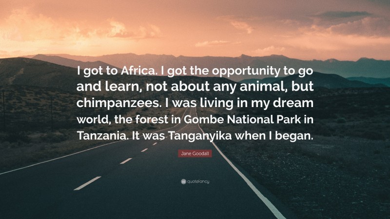 Jane Goodall Quote: “I got to Africa. I got the opportunity to go and learn, not about any animal, but chimpanzees. I was living in my dream world, the forest in Gombe National Park in Tanzania. It was Tanganyika when I began.”
