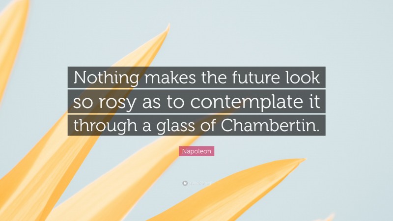 Napoleon Quote: “Nothing makes the future look so rosy as to contemplate it through a glass of Chambertin.”